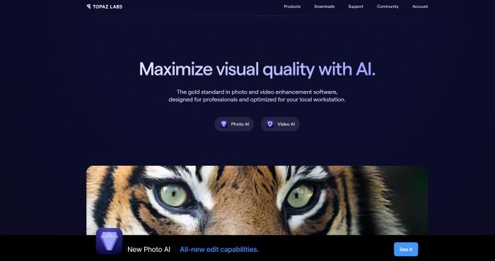 TopazLabs Photo Enhancer AI