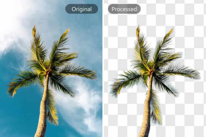 What Are the Top Free Image Background Remover Tools?-1