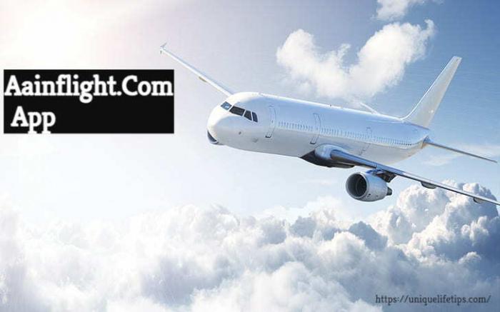 aainflight